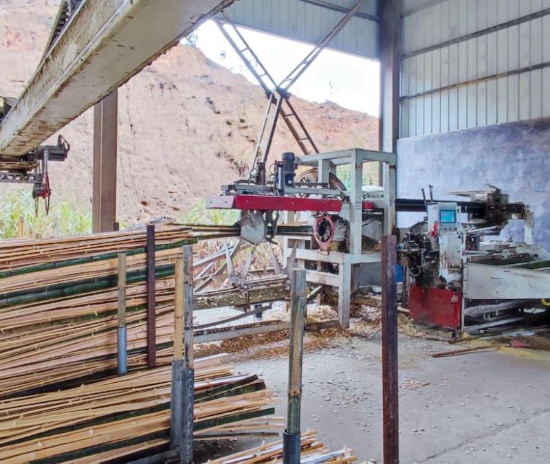 Lc3-Slitting Lc3-Slitting